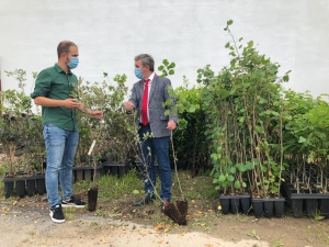 Un árbol por cada compra  o consumición superior a 10 euros, realizada en los establecimientos comerciales y hosteleros del municipio